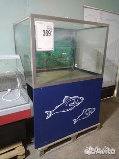 Аквариум для живой рыбы